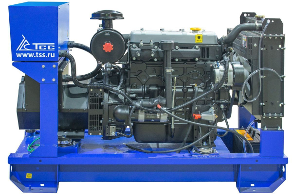 Дизельный генератор ТСС ЭД-25-Т400-1РПМ5 025935 промышленный фото