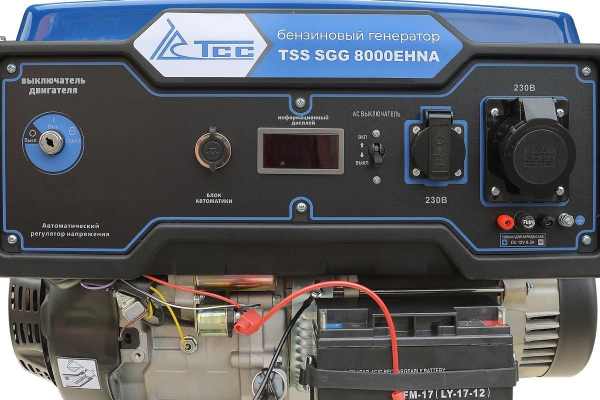 Бензиновый генератор ТСС SGG 8000EHNA в кожухе МК-1.1 армейский фото