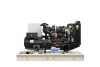 Дизельный генератор TEKSAN TJ110PE5C фото